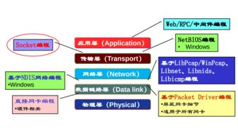 哈工大計(jì)算機(jī)網(wǎng)絡(luò)Week2 網(wǎng)絡(luò)應(yīng)用數(shù)據(jù)交換與計(jì)算機(jī)編程
